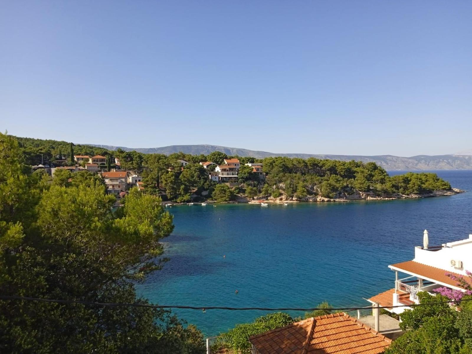 Apartamento Mala Basina -maslina